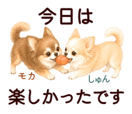 852444576