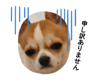 852444737