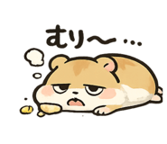 852444885