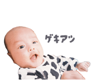 852445141