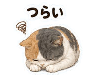 852445403