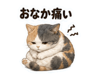 852445406