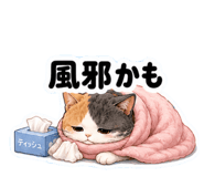 852445410