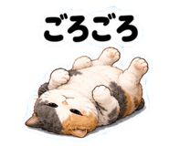852445420