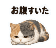 852445424