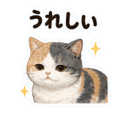 852445425