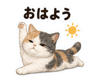 852445427
