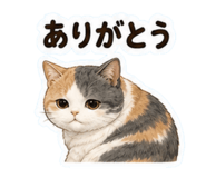 852445429