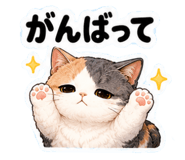 852445437