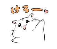 852445951