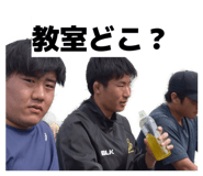 852446237