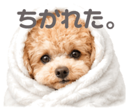 852446389