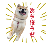 852446561
