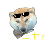 852446563