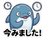 852448126