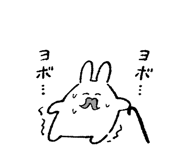 852448231