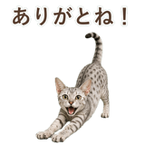 852448929