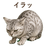 852448930