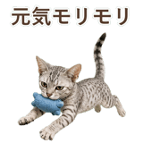 852448932