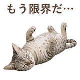 852448933