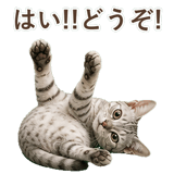 852448941