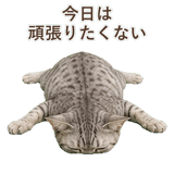 852448942