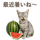 852448950