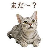 852448956