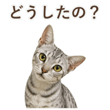 852448958