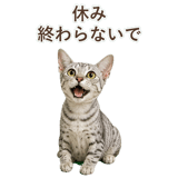 852448961