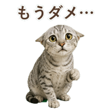 852448964