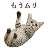 852448966