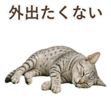 852448967
