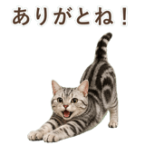 852448993