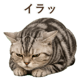 852448994
