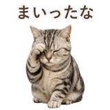 852448995