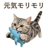 852448996
