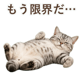 852448997