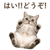 852449005