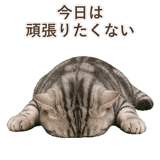 852449006