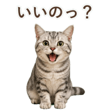 852449007