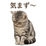 852449008