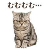 852449010