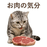 852449013