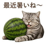 852449014