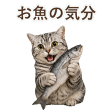 852449015