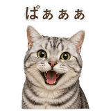 852449018