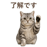 852449019