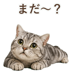 852449020