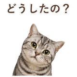 852449022